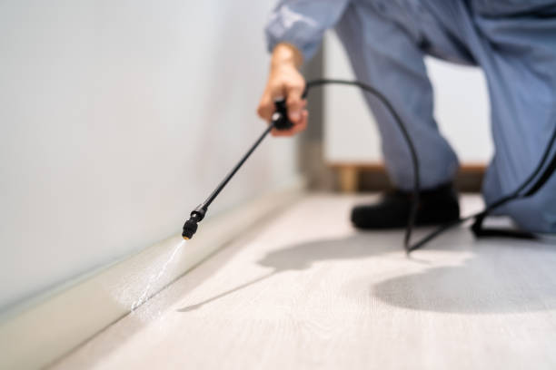 Professional exterminator conducting IPM assessment in McCordsville