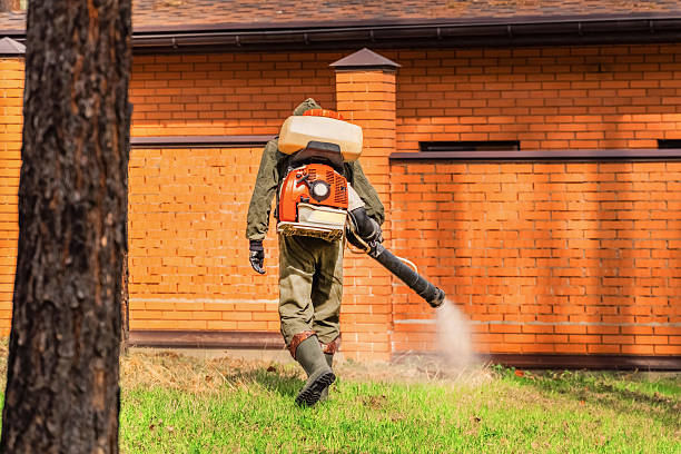 Top rated local Wasp Removal specialists in McCordsville, IN